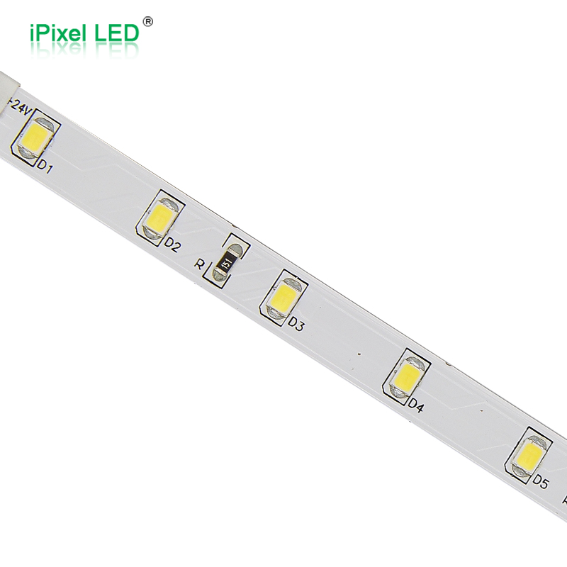SMD2835 8mm Single Color Led Strip 60LEDs/m DC12V/DC24V